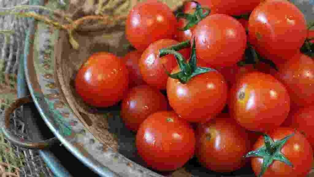 فوائد الطماطم / البندورة